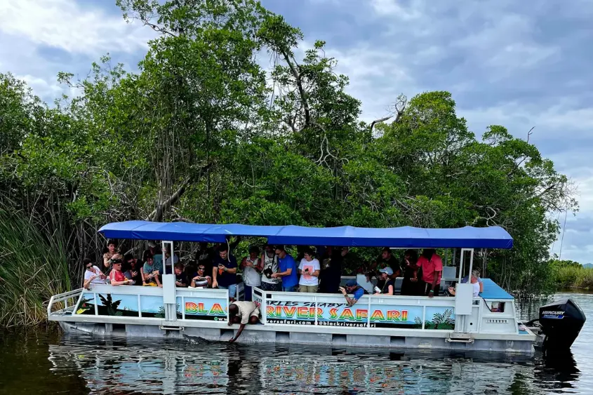 Boat tour on Black River Jamaica spotting crocodiles in mangrove wetlands