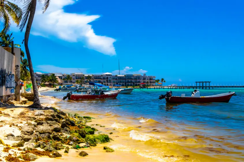 Calm Caribbean beach at Placencia Belize with white sand and palm trees