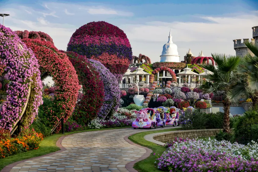 Emirates A380 sculpture made of flowers at Dubai Miracle Garden, a seasonal attraction